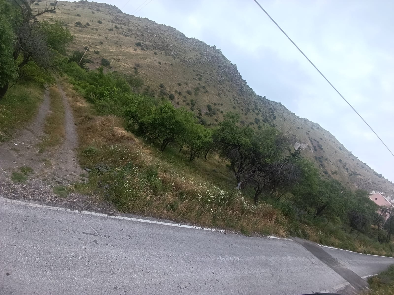 Altınolukta Manzaralı Anayola Cephe Satılık Kadastro Parsel - Resim 8