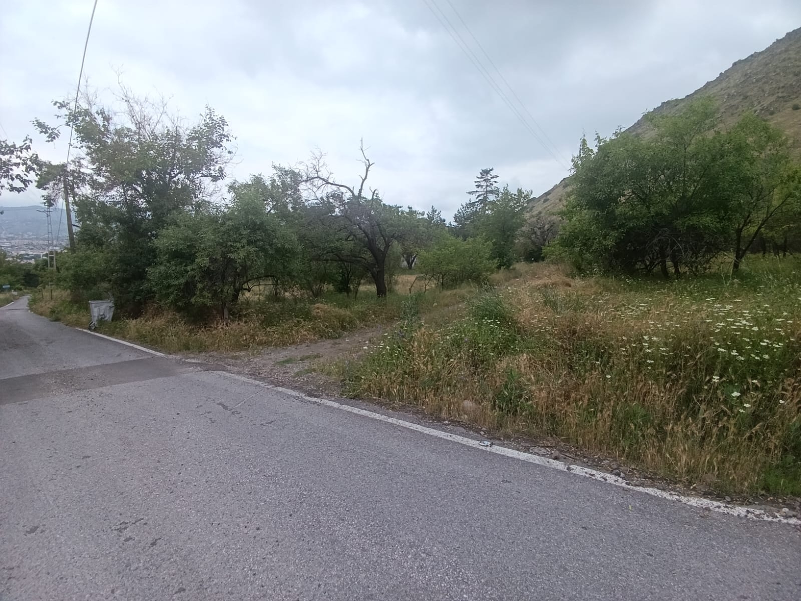 Altınolukta Manzaralı Anayola Cephe Satılık Kadastro Parsel - Resim 13