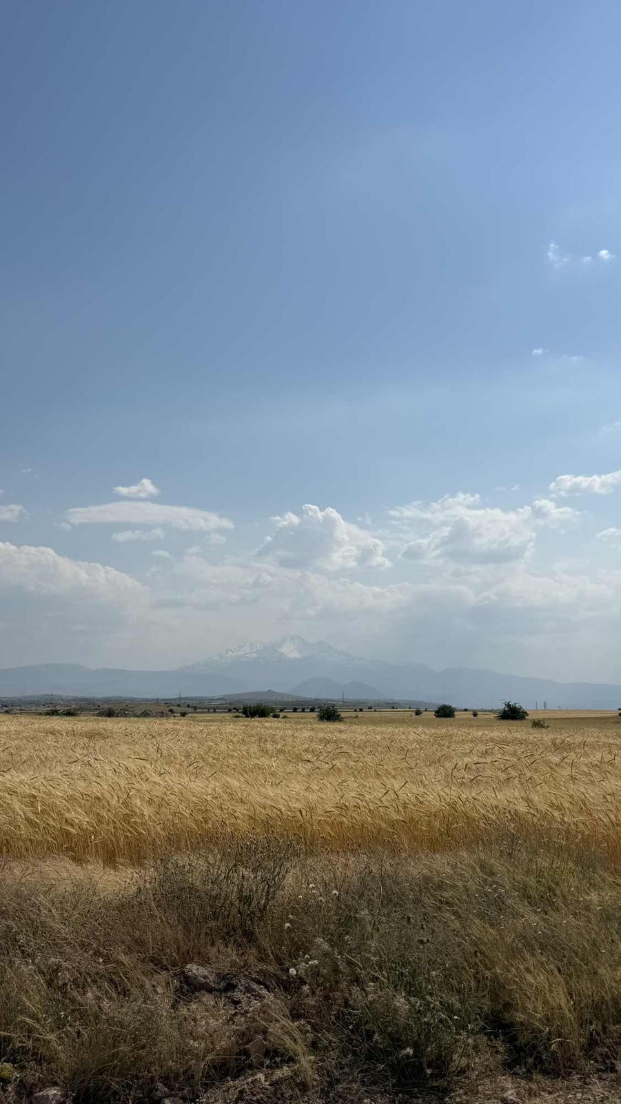 Ağırnas 'ta Satılık Dev Tarla - Resim 7
