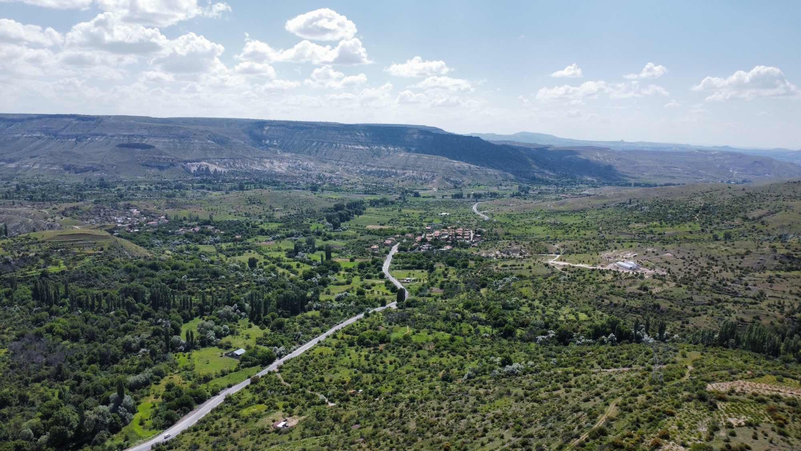 ÜRGÜP BOYALIDA YATIRIM AMAÇLI 1 DÖNÜM BAĞ - Resim 5