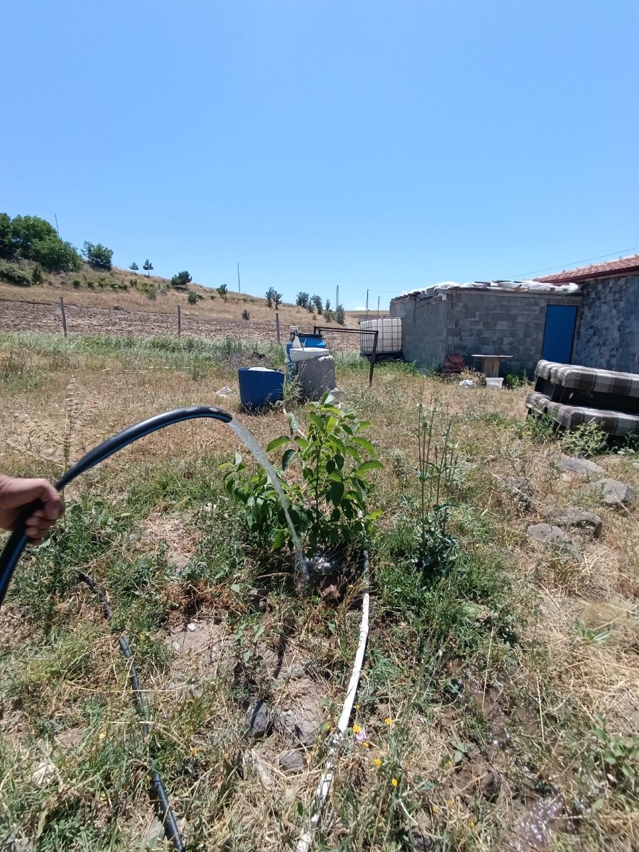 SONDAJLI AĞAÇLI 12.500 M2 ARSA İÇİNDE SATILIK 3+1 VİLLA - Resim 6