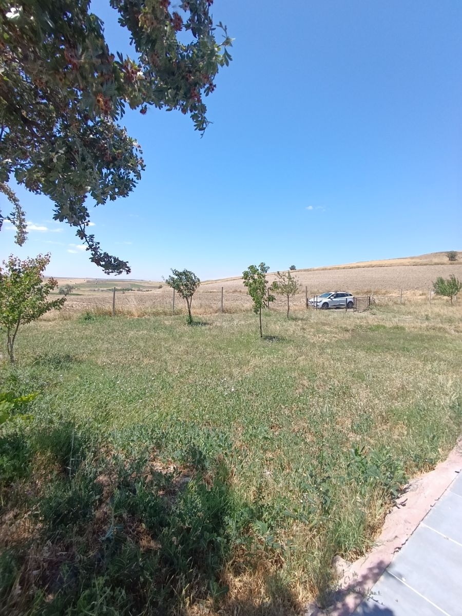 SONDAJLI AĞAÇLI 12.500 M2 ARSA İÇİNDE SATILIK 3+1 VİLLA - Resim 10
