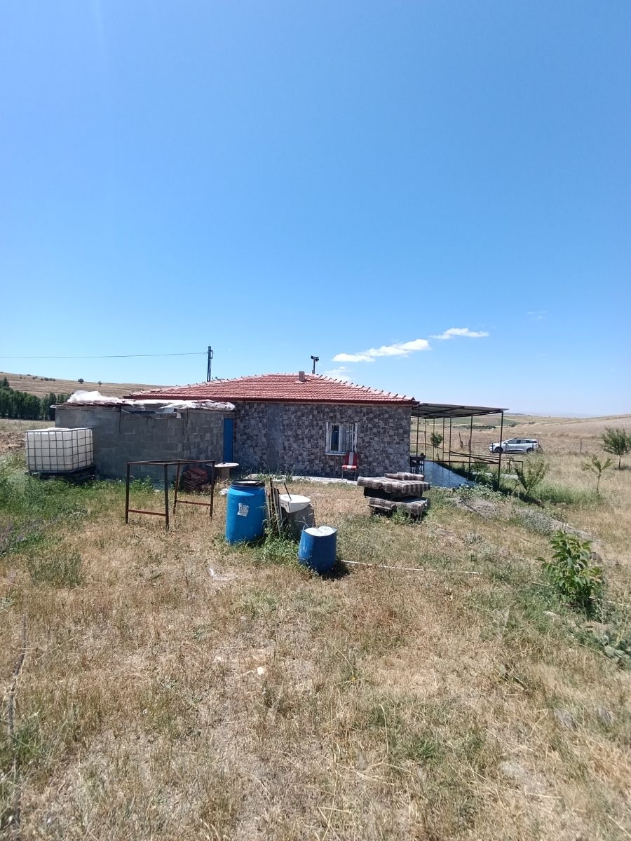 SONDAJLI AĞAÇLI 12.500 M2 ARSA İÇİNDE SATILIK 3+1 VİLLA - Resim 32