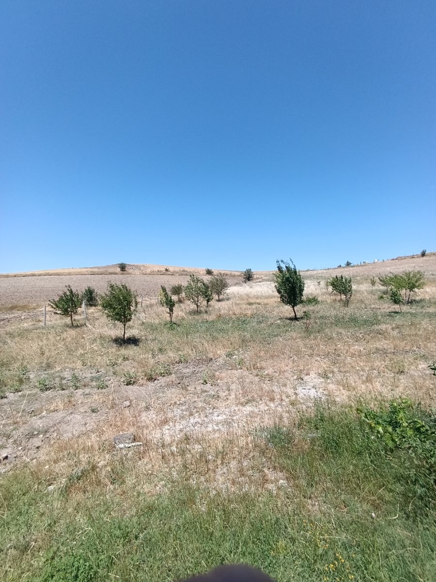 SONDAJLI AĞAÇLI 12.500 M2 ARSA İÇİNDE SATILIK 3+1 VİLLA - Resim 21