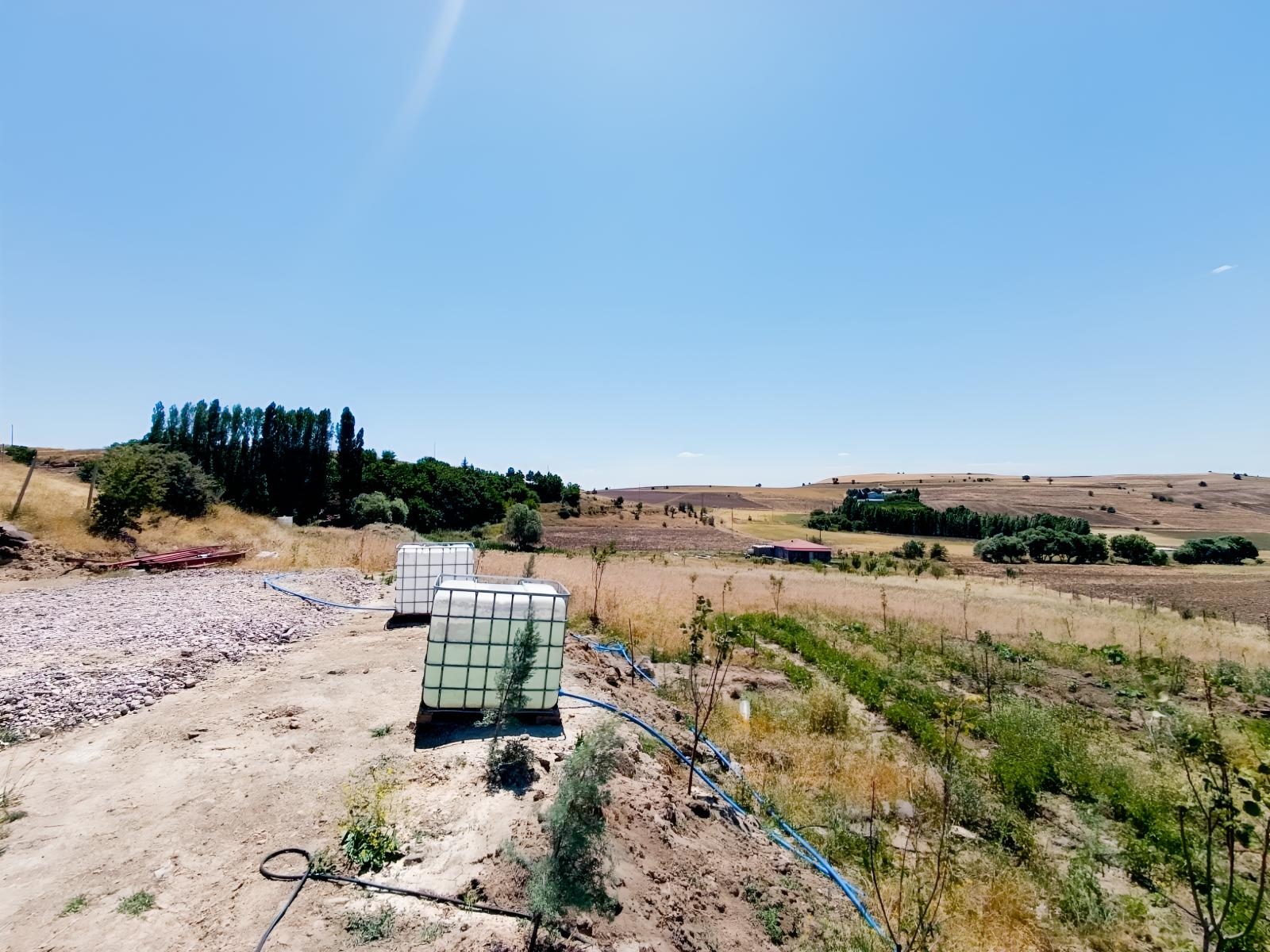 SONDAJLI AĞAÇLI 12.500 M2 ARSA İÇİNDE SATILIK 3+1 VİLLA - Resim 33