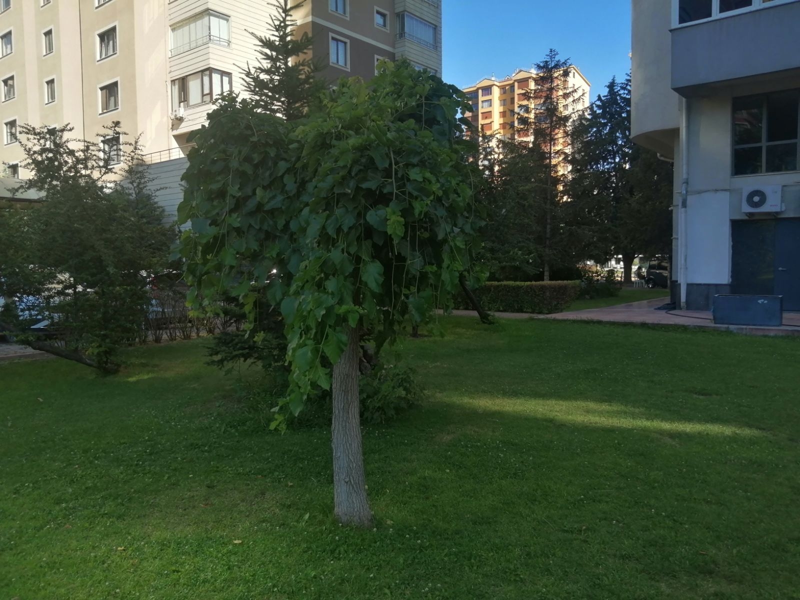 SİVAS CADDESİ'NDE "SÜPER ERCİYES MANZARALI" SATILIK DAİRE - Resim 13