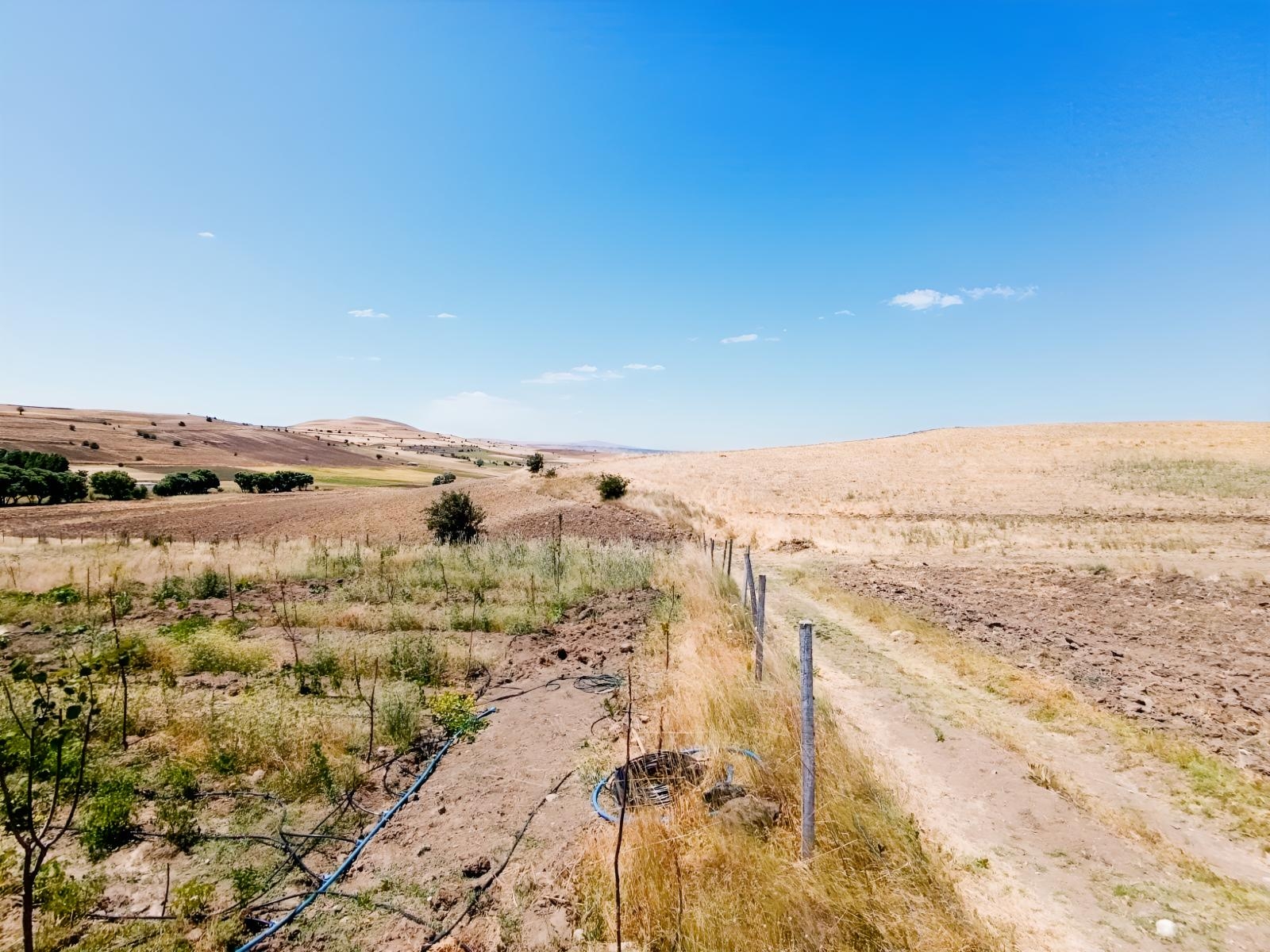 SONDAJLI AĞAÇLI 12.500 M2 ARSA İÇİNDE SATILIK 3+1 VİLLA - Resim 20