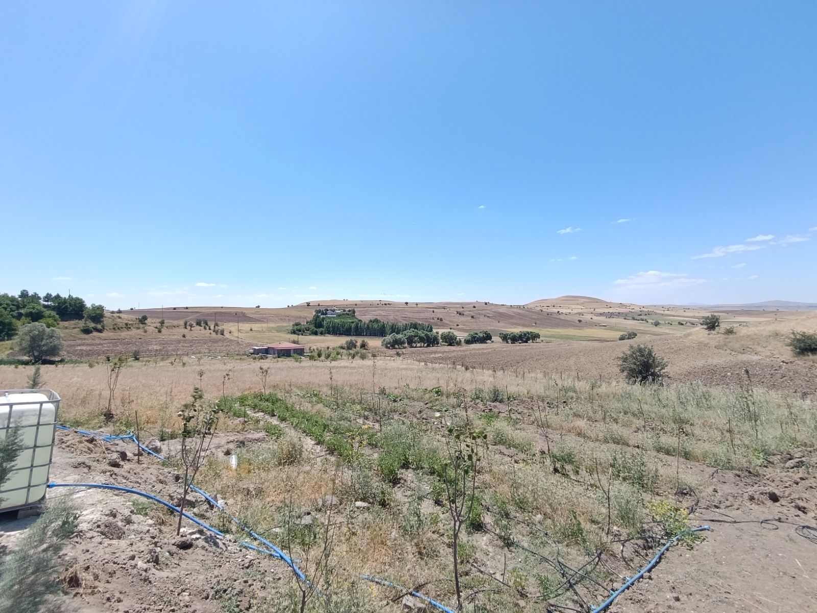SONDAJLI AĞAÇLI 12.500 M2 ARSA İÇİNDE SATILIK 3+1 VİLLA - Resim 12