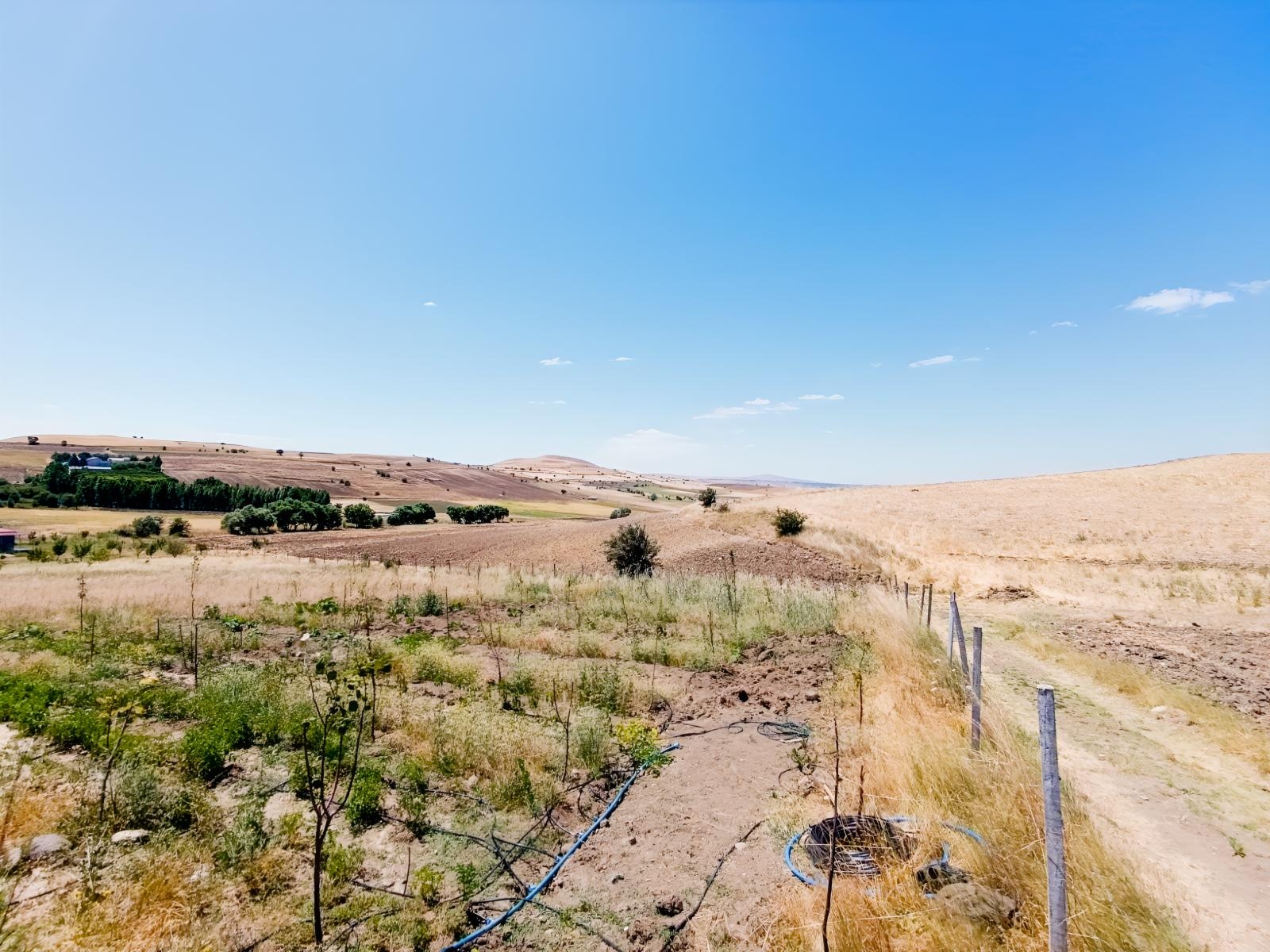 SONDAJLI AĞAÇLI 12.500 M2 ARSA İÇİNDE SATILIK 3+1 VİLLA - Resim 5