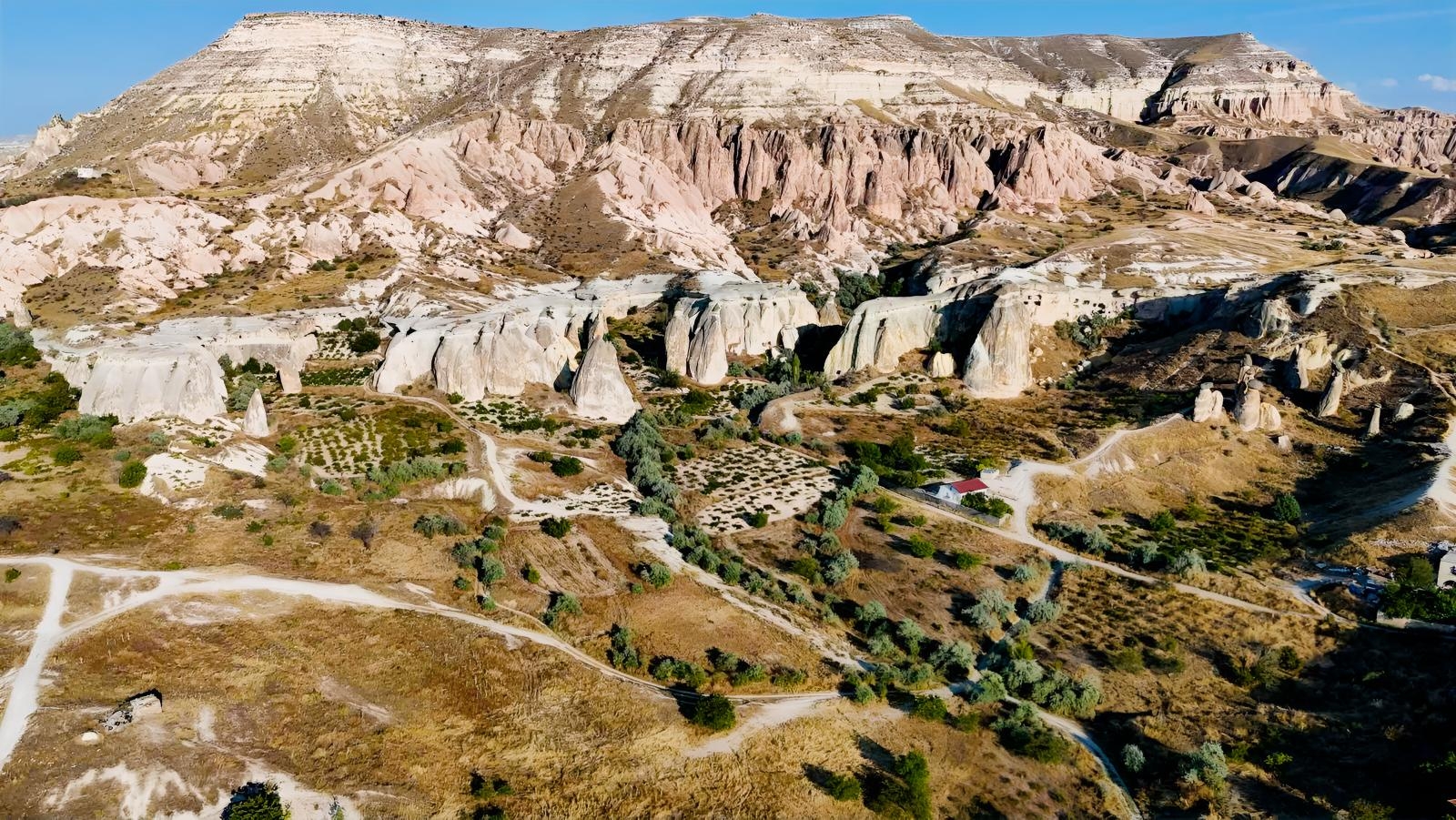 AVANOS ÇAVUŞİNDE 2.448 M² SATILIK TARLA YATIRIM FIRSATI - Resim 5