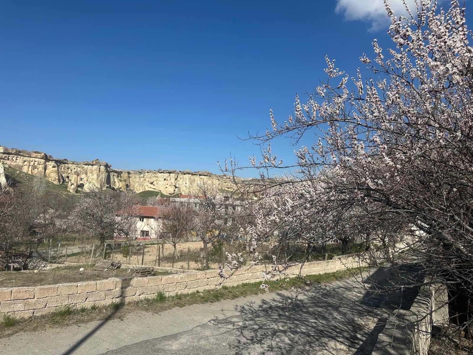AVANOS ÇAVUŞİNDE SATILIK İKİ KATLI MÜSTAKİL EV - Resim 15