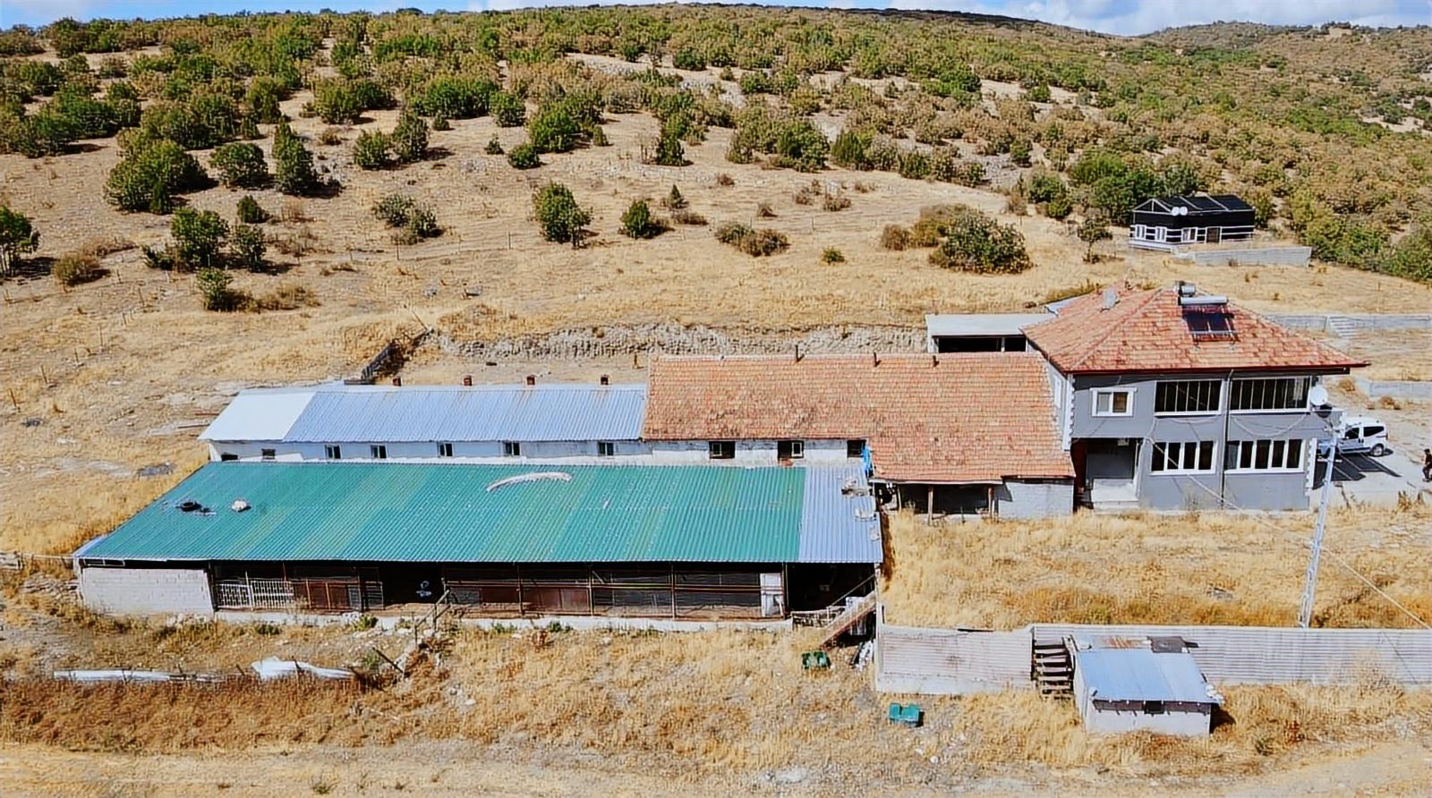 Çayıralan Turluhan Köyünde 130 Başlık Satılık Besi Çiftliği - Resim 8
