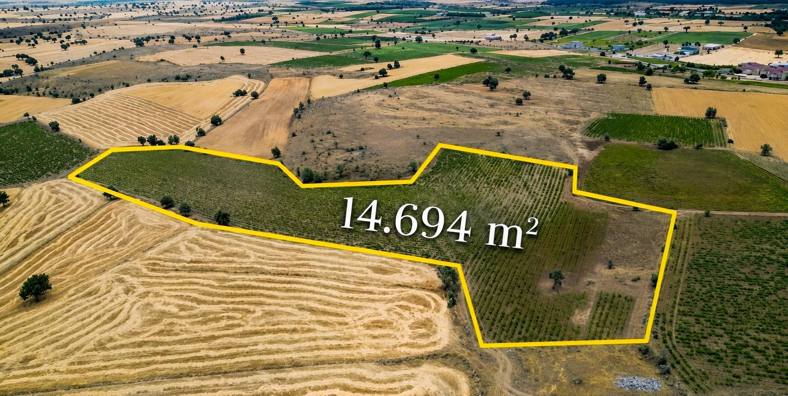 Talas Çömlekçide Tek Tapu 14.694 m² Satılık Tarım Arazisi - Resim 2
