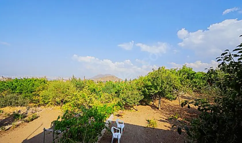 HACILAR - AKDAM'DA EVLİ BAĞ YERİ - 3.074 m2 - Resim 7